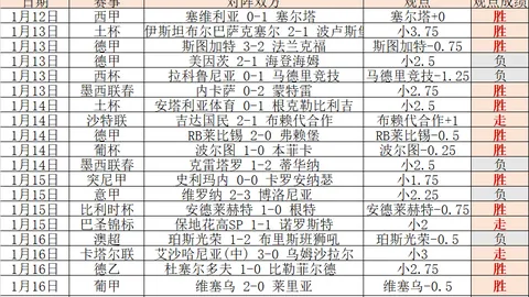 《圖片報》：拜仁力保圖赫爾至季末，情绪波动仍顯著！